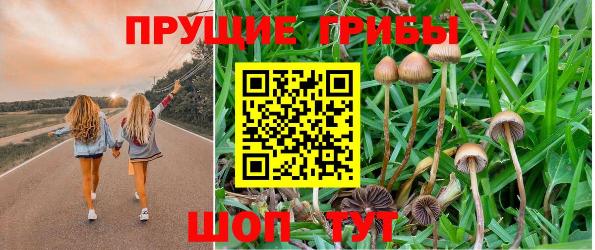 Галлюциногенные грибы Cubensis Жигулёвск