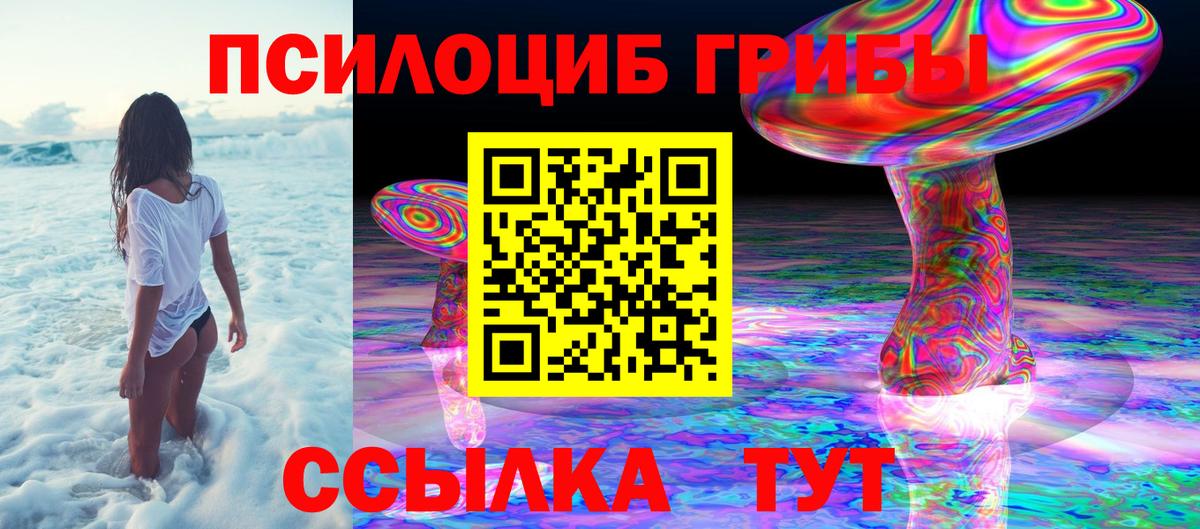 Псилоцибиновые грибы Cubensis  Вход с VPN  Жигулёвск 